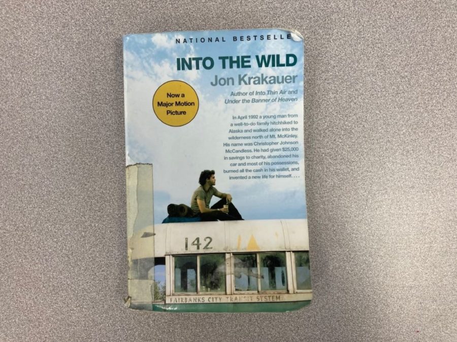 My Thoughts on Into the Wild