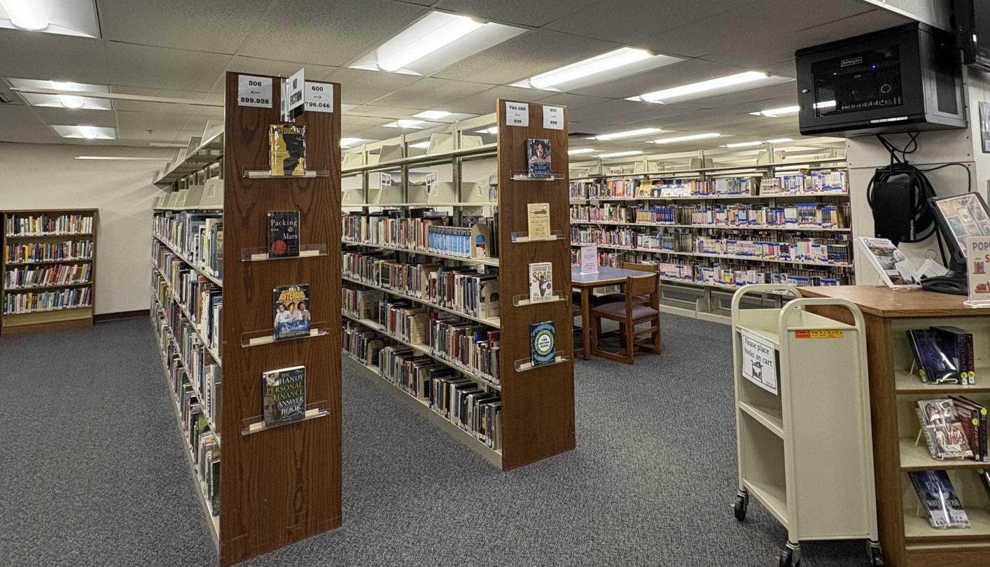 The bookcases found in the library