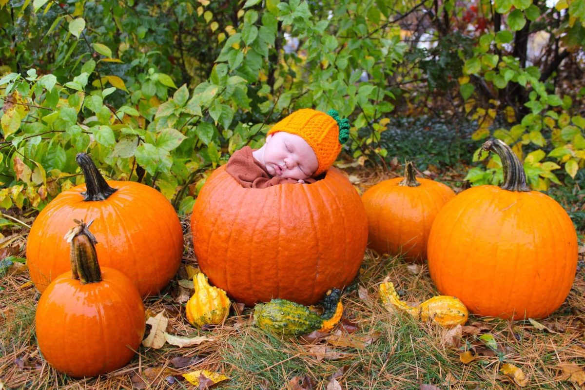 Is Trunk or Treating Ruining Halloween?