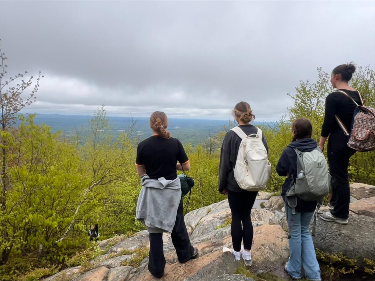 Students admiring the view.
