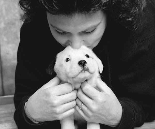 Ross with a rescue dog.