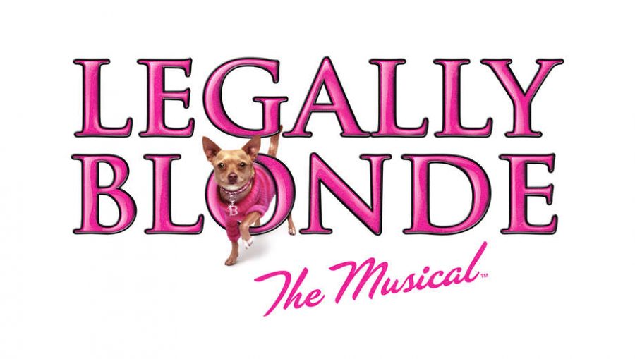 OMG You Guys! Legally Blonde Auditions!