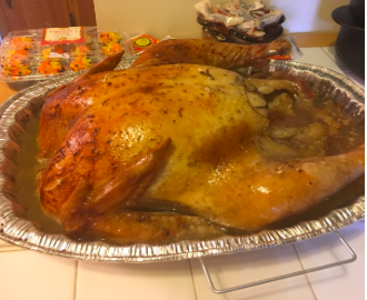Megans Thanksgiving turkey