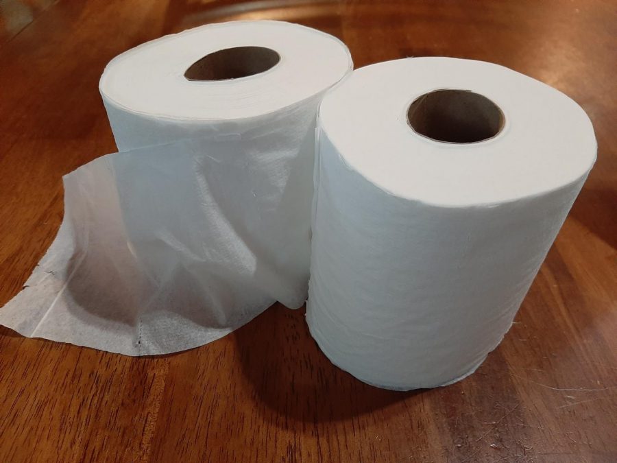 Two rolls of Toilet Paper 