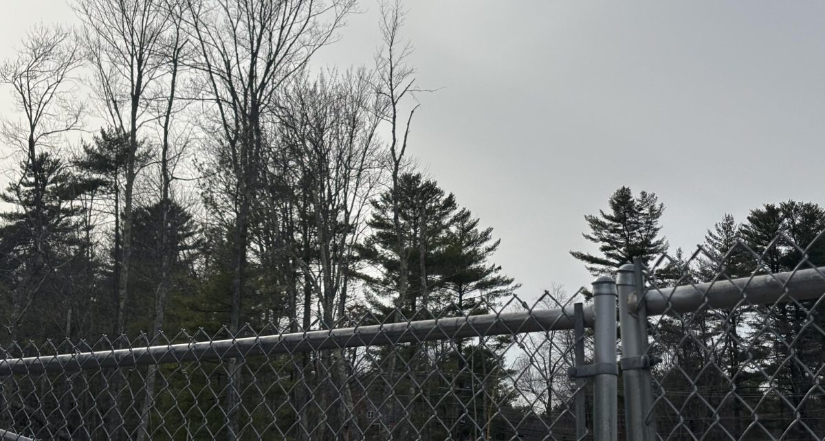 The Troubled Teens Industry