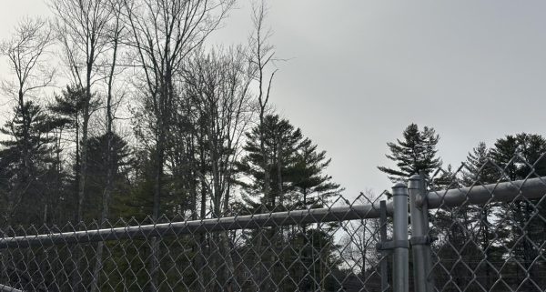 The Troubled Teens Industry